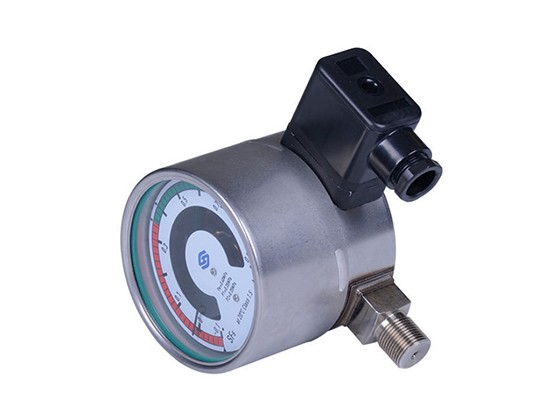 HGS100J --- SF6 Gas Density Gauge