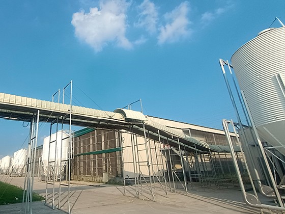  Automatic egg collection system
