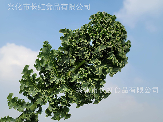 Kale Powder