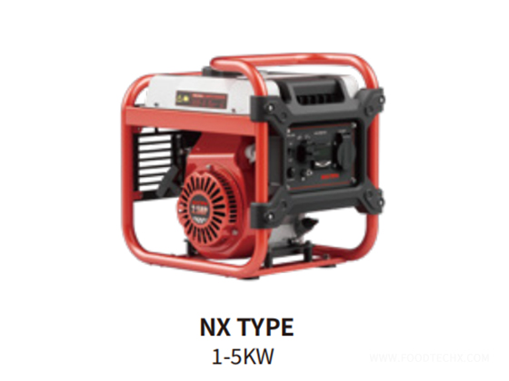 BS8500i inverter generator 