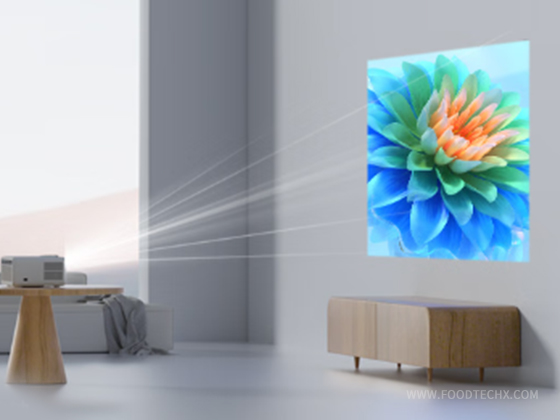  (PHILIPS) NeoPix 745 Projector