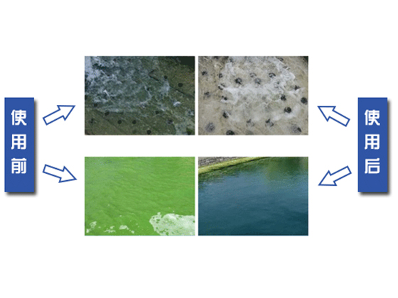 Oxidizing Bactericide PO-700