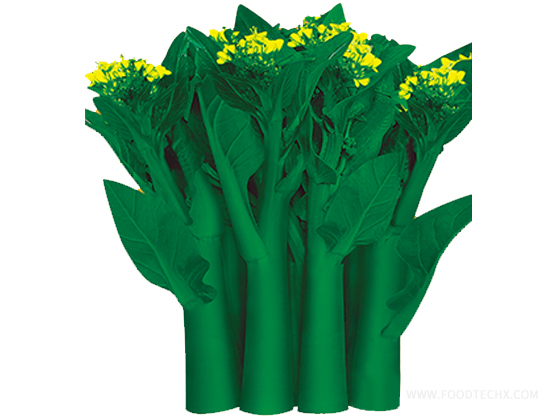 Luxiu Four-Season Pointed-Leaf Glossy Green Choy Sum seed
