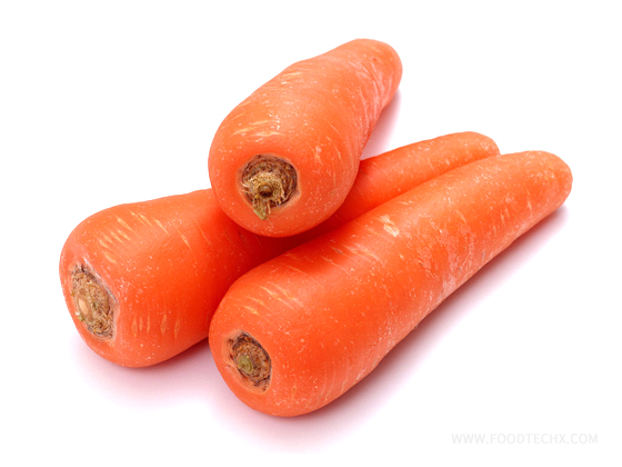 Jeju Island Premium Three-Red Seven-Inch Carrot  seed