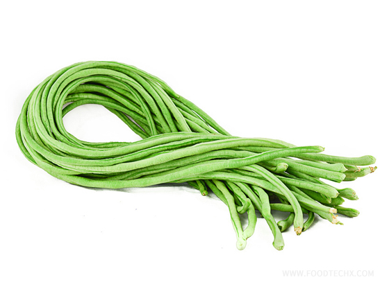 Changjiang No.7 Yardlong Bean seed