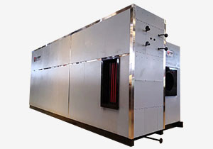 SZS series bedroom fuel oil/gas/water pipe boiler