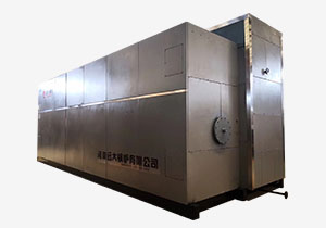 SZS series bedroom fuel oil/gas/water pipe boiler