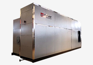 SZS series bedroom fuel oil/gas/water pipe boiler