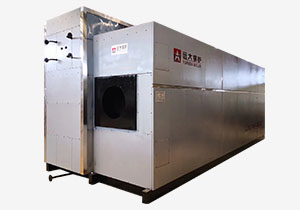 SZS series bedroom fuel oil/gas/water pipe boiler