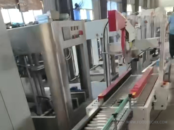 HSTZX-2 Automatic linear packaging machine