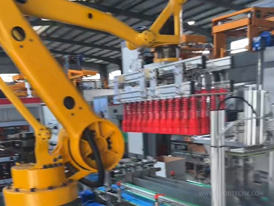 HSTZX-2 Automatic linear packaging machine