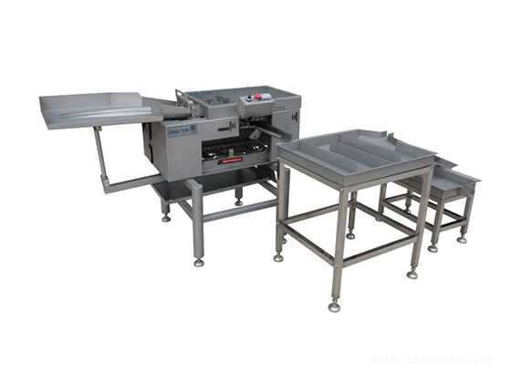 Double Row Egg Breaking Machine XY-SPKD
