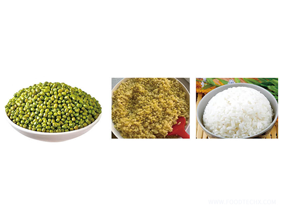 Automatic Rice Steaming and Cooking Production Line