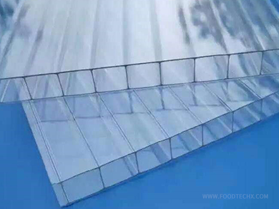 Champion PC/PP/PE hollow sheet extrusion line