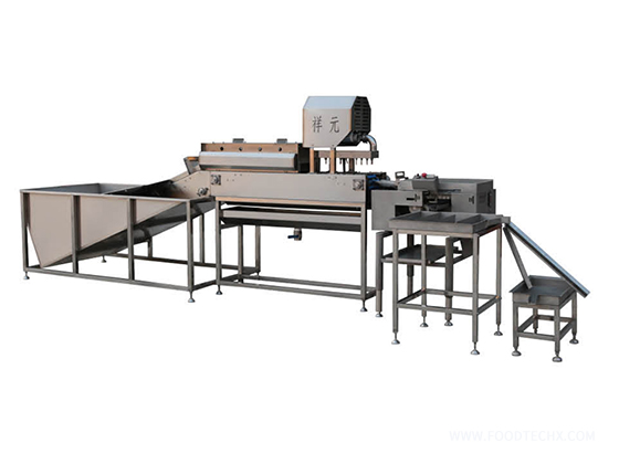 Egg washing machine production line