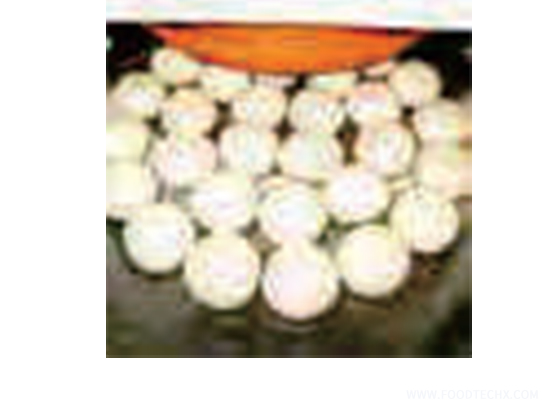 Semi-automatic divider rounder series---WG-FC-30-1