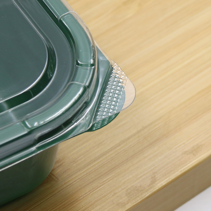 ZY999 Green Disposable food preservation and freshness-locking packaging boxes