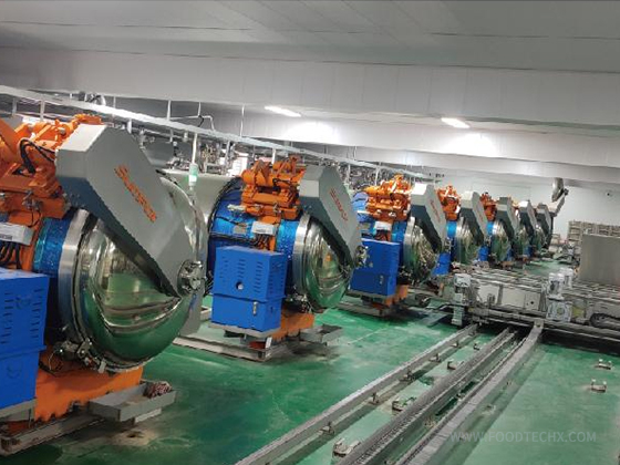 Flexible Packaging Automatic Loading & Unloading System