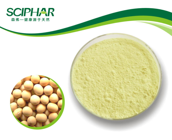 soy protein