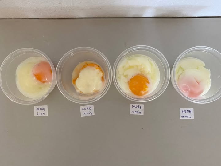 High Pressure Processing Machine HPP600MPa 100-300L