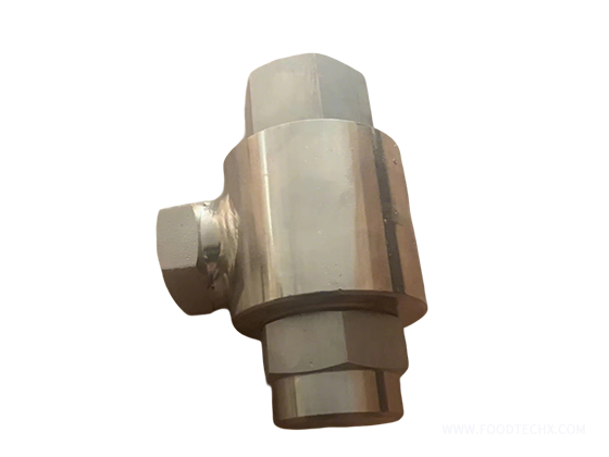 Check Valve