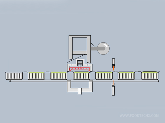 Thermoforming Vacuum Package Machine