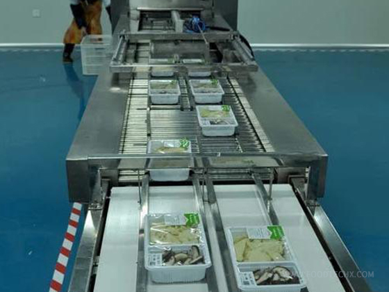 Thermoforming Map Package Machine