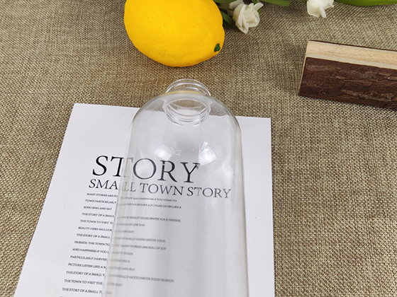 Aurora Bottle --- 500 ml