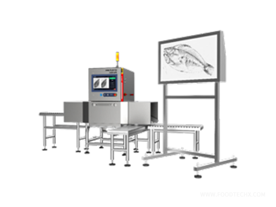 Fish Bone ---ISD-NFF4016
