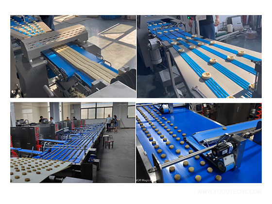 Maamoul Production Line
