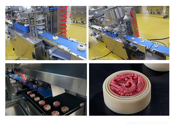 Maamoul Production Line