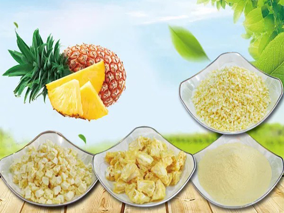Freeze dried pineapple product line