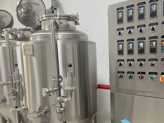 200L Beer Fermentation Tank