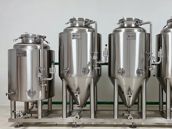 200L Beer Fermentation Tank