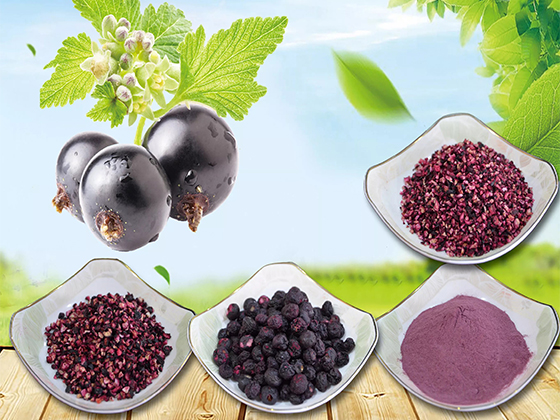 Freeze-dried blueberry product range