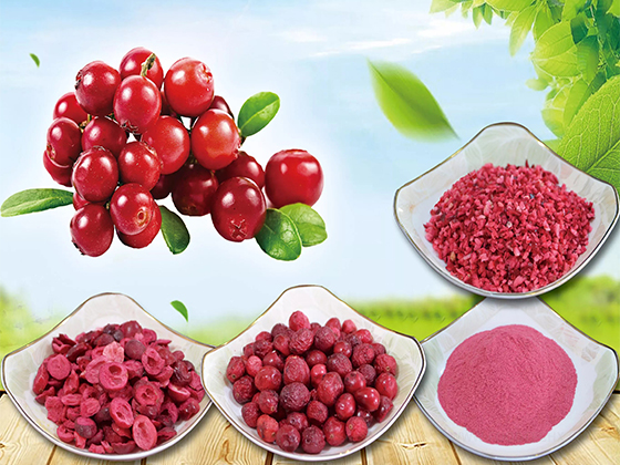 Freeze-dried cranberry product series
