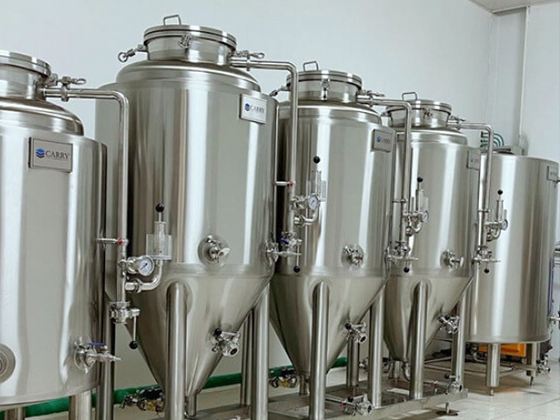 200L Beer Fermentation Tank