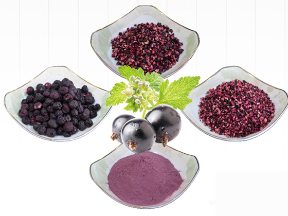 Freeze-dried blueberry product range