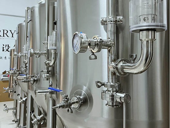 200L Beer Fermentation Tank