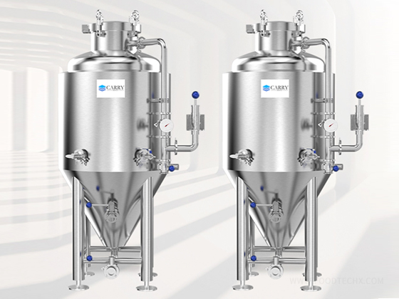 200L Beer Fermentation Tank