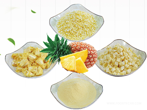 Freeze dried pineapple product line