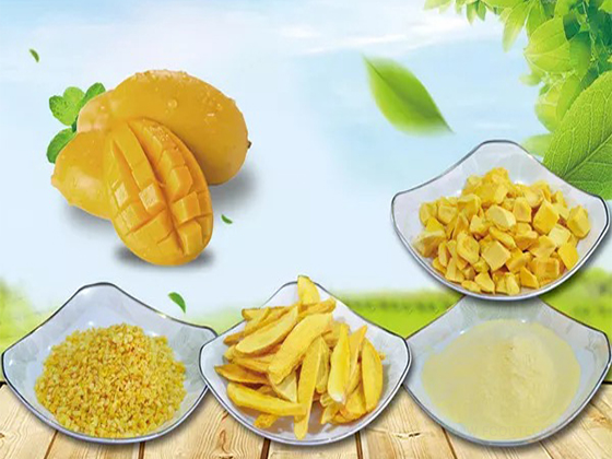 Freeze-dried mango product serie