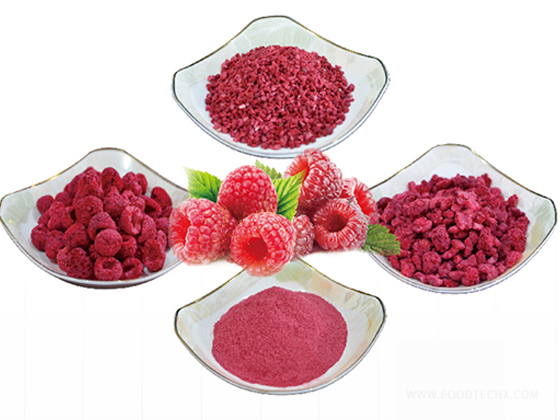 Freeze-dried cranberry product series