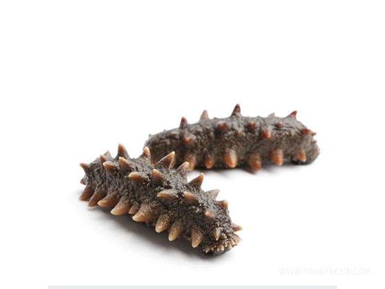 Sea Cucumber Peptide Supplement