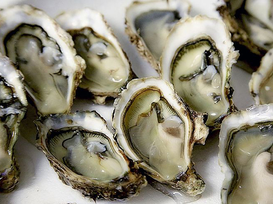 Oyster Peptide Supplement