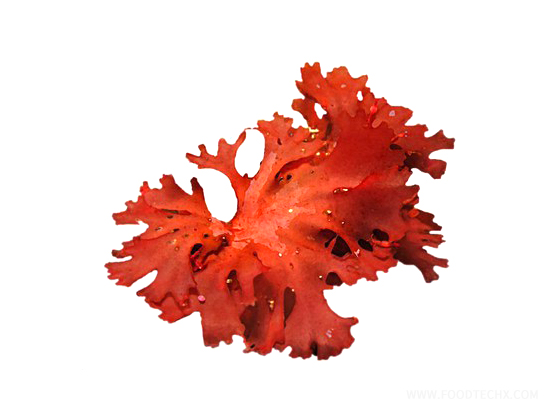 Food Grade Astaxanthin