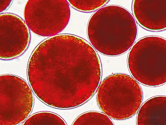 Food Grade Astaxanthin