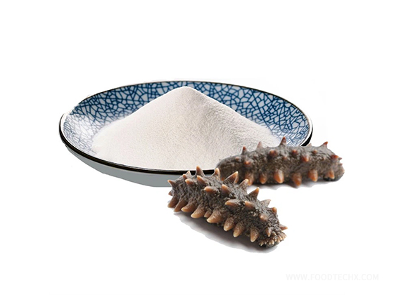 Sea Cucumber Peptide Supplement