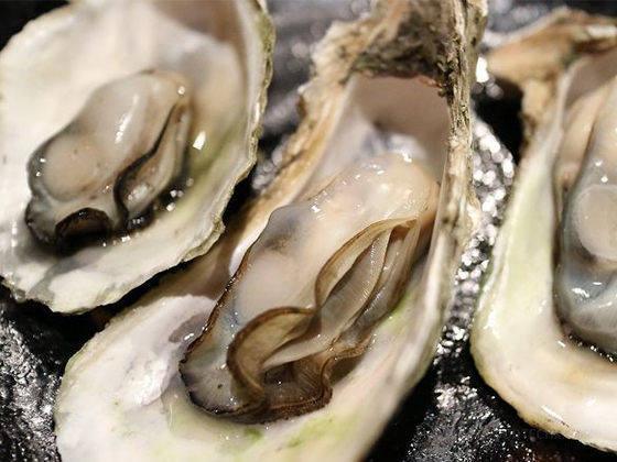 Oyster Peptide Supplement