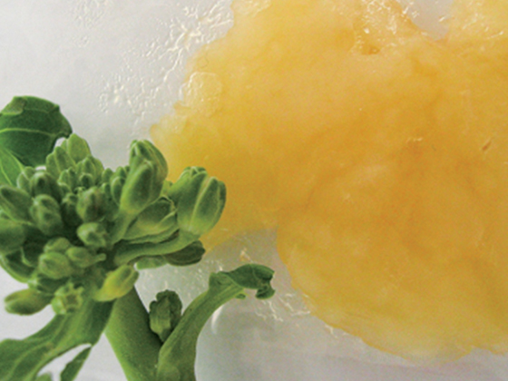 Egg Yolk Lecithin---E-90